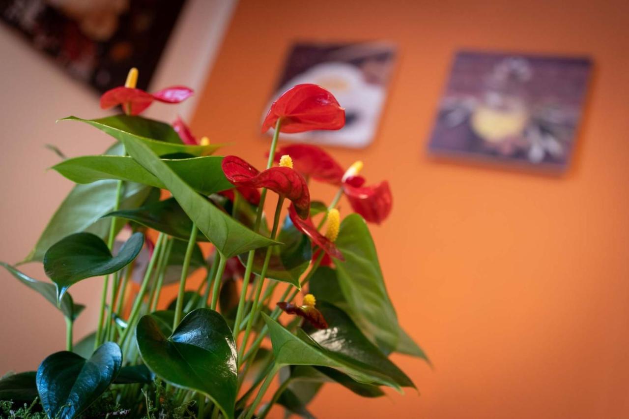 Casa Martina- Airport Free Shuttle-H24 Apartment Bergamo Bagian luar foto